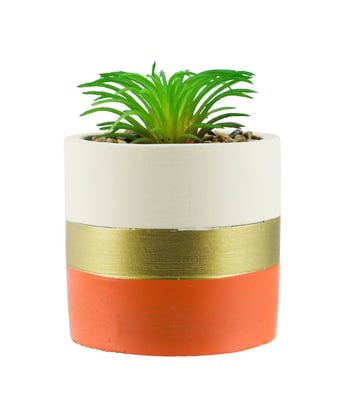 Home Variedades  Vaso Cimento Base Laranja Planta   1