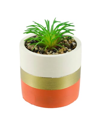 Home Variedades  Vaso Cimento Base Laranja Planta   2