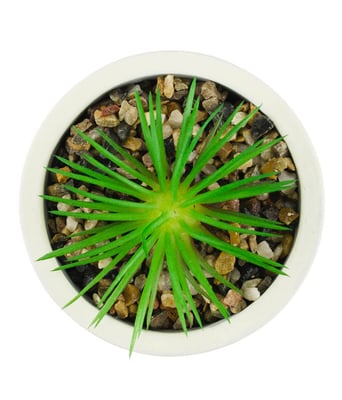 Home Variedades Vaso Cimento Base Laranja Planta 3 Home Variedades Vaso Cimento Base Laranja Planta 3