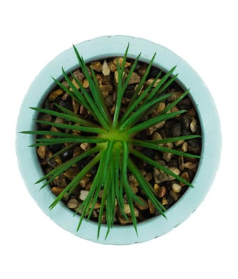 Home Variedades Vaso Cimento Turquesa Planta Artificial 3 Home Variedades Vaso Cimento Turquesa Planta Artificial 3