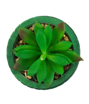 Home Variedades Vaso Cimento Verde Planta Artificial 3 Home Variedades Vaso Cimento Verde Planta Artificial 3