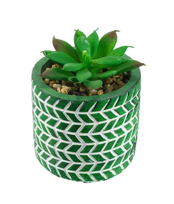 Home Variedades  Vaso Cimento Verde Planta Artificial  2