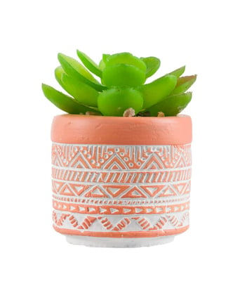 Home Variedades  Vaso Cimento Laranja Planta Artificial   1