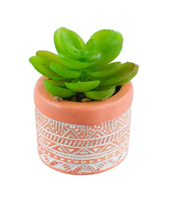 Home Variedades  Vaso Cimento Laranja Planta Artificial   2