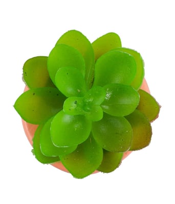 Home Variedades Vaso Cimento Laranja Planta Artificial 3 Home Variedades Vaso Cimento Laranja Planta Artificial 3