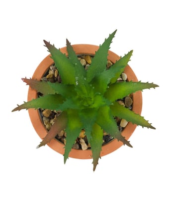 Home Variedades Vaso Barro Cimento Planta Artificial 3 Home Variedades Vaso Barro Cimento Planta Artificial 3