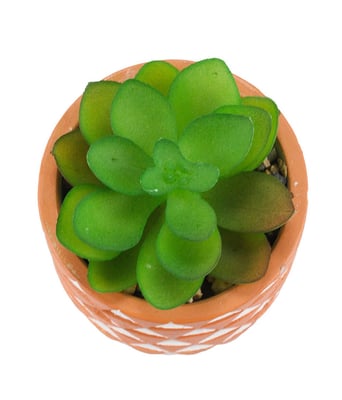 Home Variedades Vaso Barro Cimento Planta Artificial 3 Home Variedades Vaso Barro Cimento Planta Artificial 3