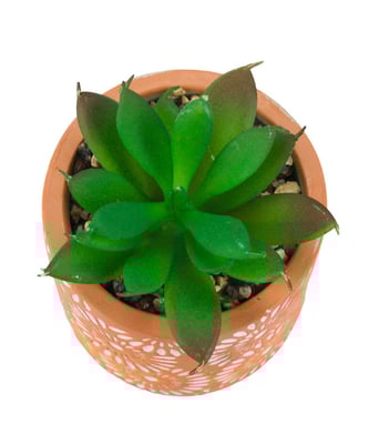 Home Variedades Vaso Barro Cimento Planta Artificial 3 Home Variedades Vaso Barro Cimento Planta Artificial 3
