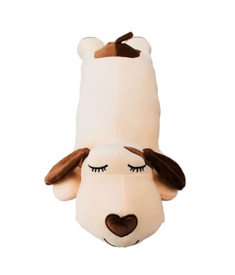 Home Variedades Cachorro Bege Comprido Deitado 1 Home Variedades Cachorro Bege Comprido Deitado 1