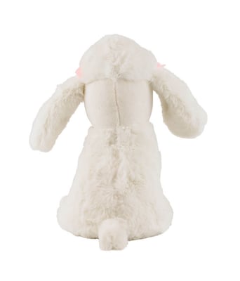 Home Variedades Cachorro Branco Poodle Laços Sentado 3 Home Variedades Cachorro Branco Poodle Laços Sentado 3