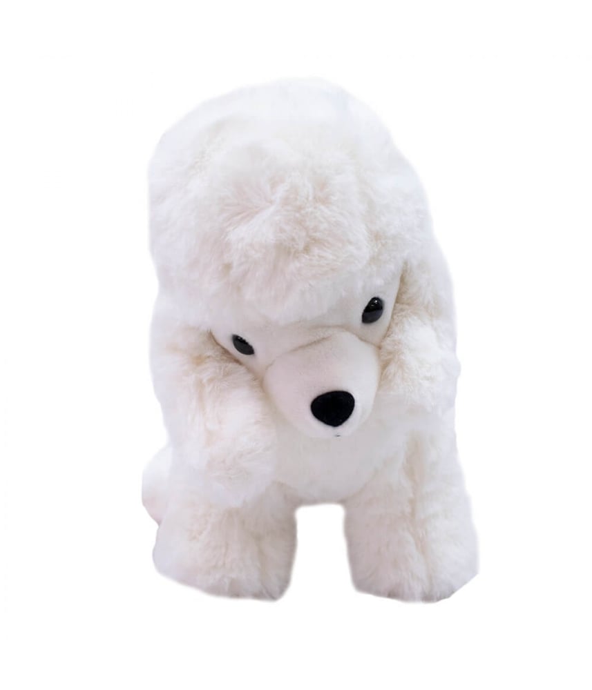 Cachorro Poodle Branco 25cm - Pelúcia