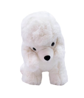 Home Variedades  Cachorro Poodle Branco 21cm - Pelúcia  1