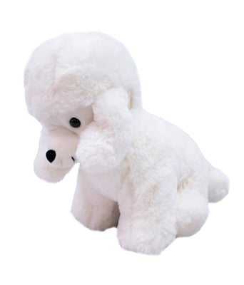 Home Variedades Cachorro Poodle Branco 25cm - Pelúcia 2 Home Variedades Cachorro Poodle Branco 25cm - Pelúcia 2