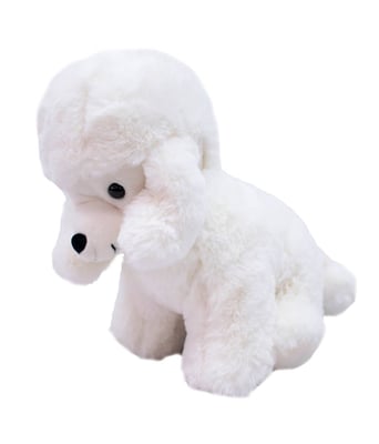 Home Variedades  Cachorro Poodle Branco 25cm - Pelúcia  2