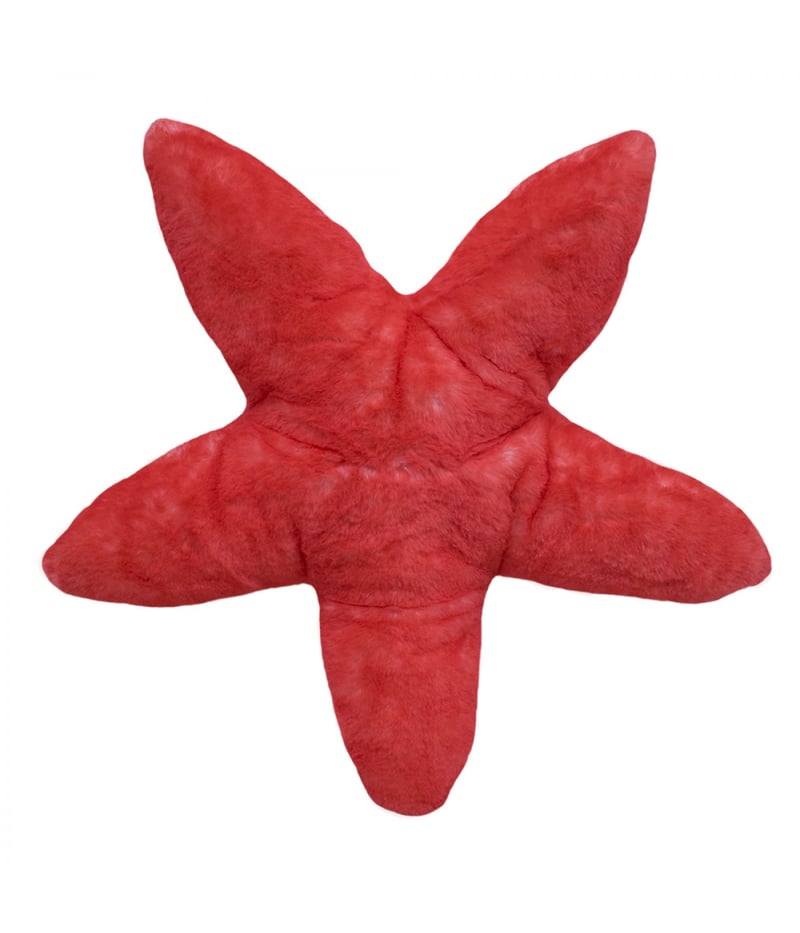 Estrela Do Mar Vermelho 42cm - Pelúcia