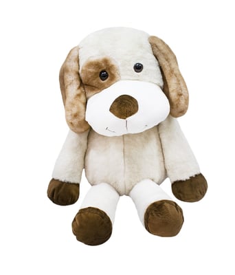 Home Variedades Cachorro Mancha Marrom Olho Sorrindo 1 Home Variedades Cachorro Mancha Marrom Olho Sorrindo 1