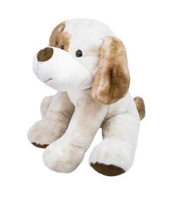Home Variedades Cachorro Mancha Marrom Olho Sorrindo 3 Home Variedades Cachorro Mancha Marrom Olho Sorrindo 3