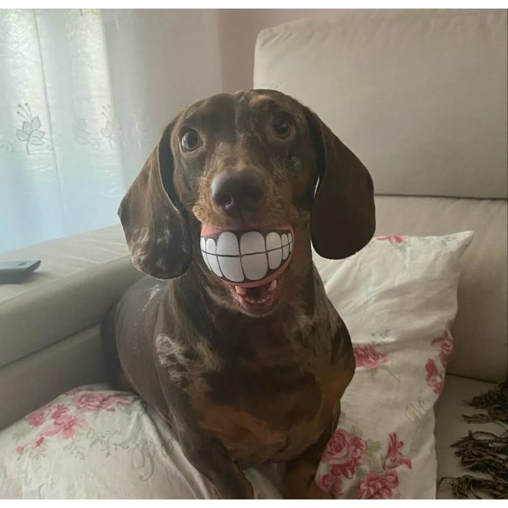 Kit 03 Brinquedos Bolinhas com Estampa de Sorriso para Pet Cachorro Adestramento