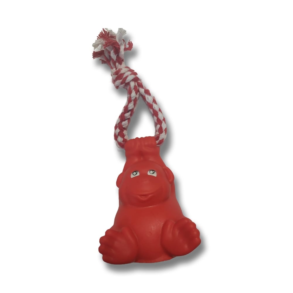 Kit Brinquedo Para Cachorro Mordedor Castorzinho + Macaquinho Brincalhão Interação Pet