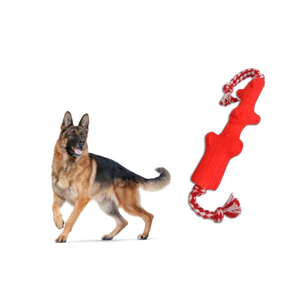 Kit com 10 Brinquedos Para Cachorro Mordedores com Corda de algodão Pote P/ Ração