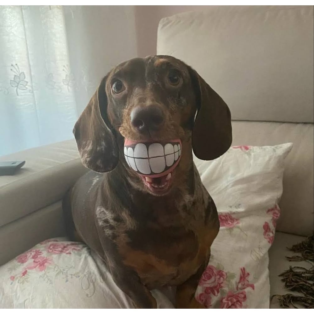 Kit 02 Brinquedos mordedor Bolinhas Sorriso com Corda 100% Algodão Brinquedo para Pet Cachorro e Adestramento