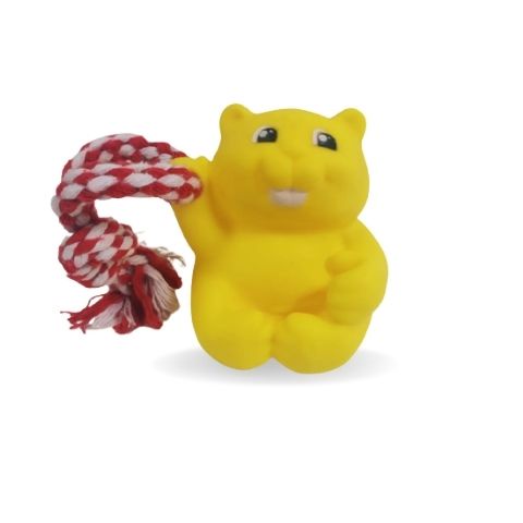 Kit com 10 Brinquedos Para Cachorro Mordedores com Corda de algodão Pote P/ Ração