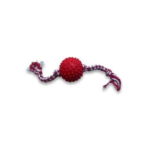 Kit 02 Brinquedos Bolinha Cravo com Corda 100% algodão Pet Cachorro Adestramento
