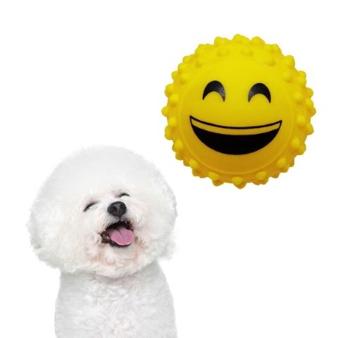 Brinquedo Para Cachorro Bolinha Cravo Emoji Divertidos Mordedor Pet