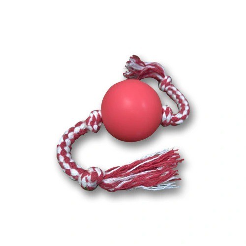 Kit 02 Brinquedos Para Cachorro Bolinha Lisa com Corda 100% algodão Pet