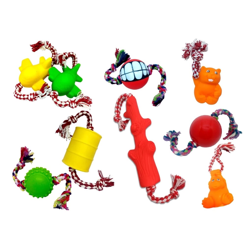 Kit com 10 Brinquedos Para Cachorro Mordedores com Corda de algodão Pote P/ Ração