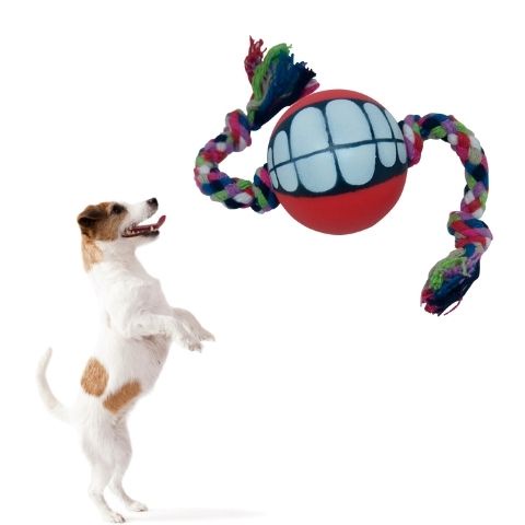 Kit com 10 Brinquedos Para Cachorro Mordedores com Corda de algodão Pote P/ Ração