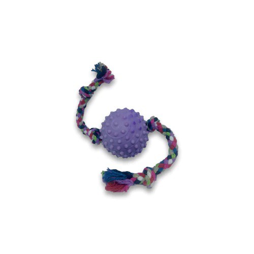 Kit 02 Brinquedos Bolinha Cravo com Corda 100% algodão Pet Cachorro Adestramento