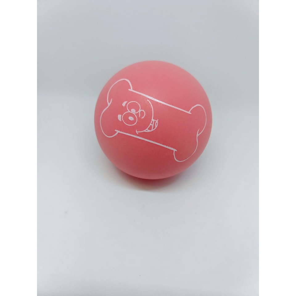 Brinquedo Bolinha Lisa Ossinho Colorida Pet Cachorro Adestramento