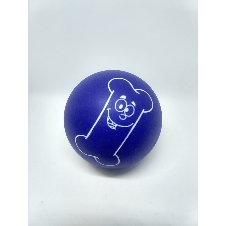 Brinquedo Bolinha Lisa Ossinho Colorida Pet Cachorro Adestramento