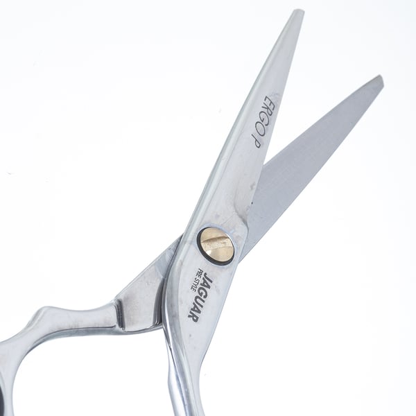 Tesoura Jaguar Pre Styler Ergo P 82655 Fio Laser Tamanho 5.5