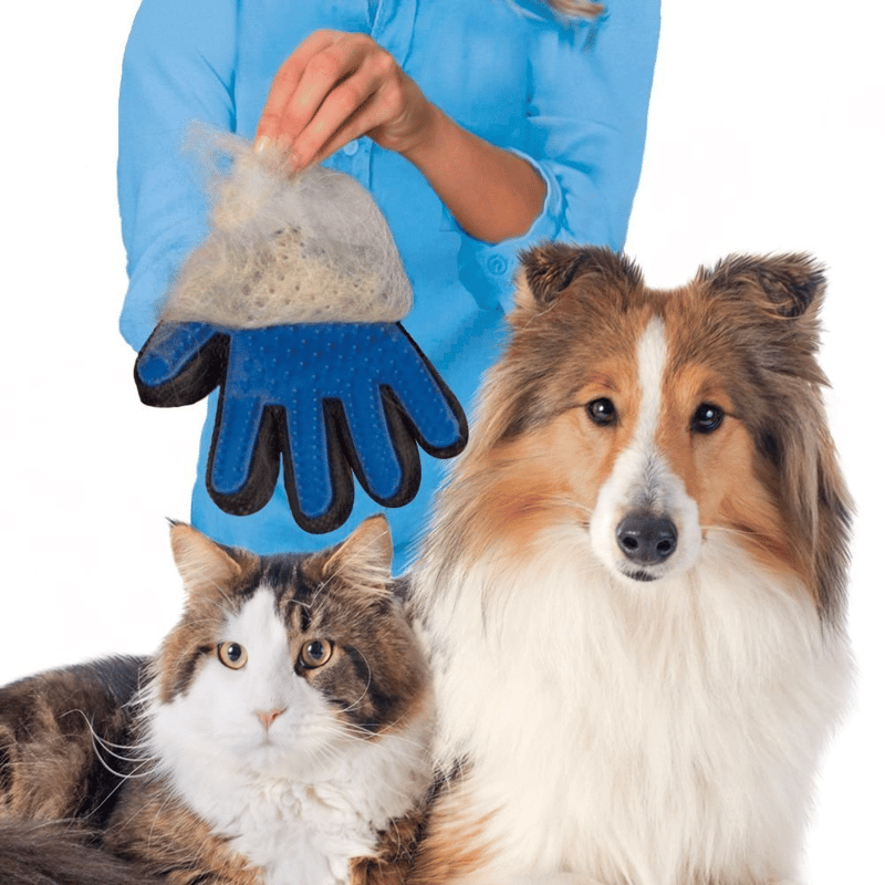 Luva Remove Pelos  Magnética para Cães e Gatos