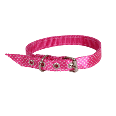 Supply Pet Coleira Pet Nylon Paetê Nº4 3 Supply Pet Coleira Pet Nylon Paetê Nº4 3