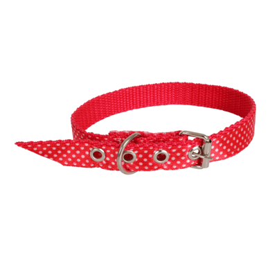 Supply Pet Coleira Pet Nylon Paetê Nº4 4 Supply Pet Coleira Pet Nylon Paetê Nº4 4