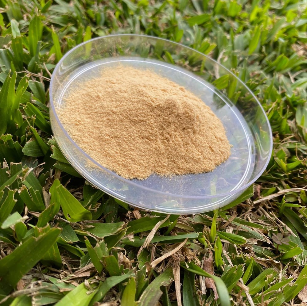 Chá Verde Solúvel