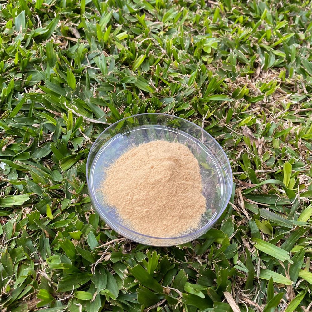 Chá Verde Solúvel