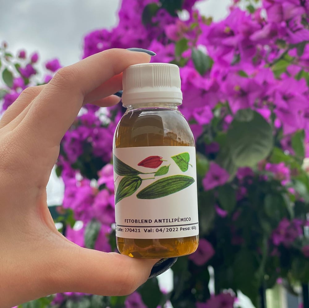 Fitoblend Antilipêmico 