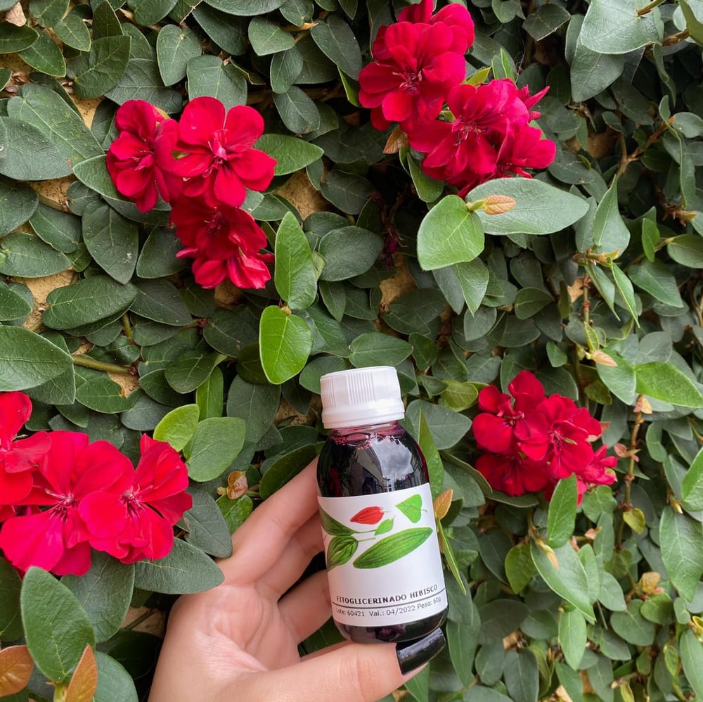 Fitoglicerinado Hibisco