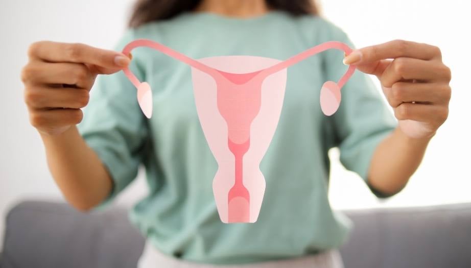 Rahim Nakli (Uterus Transplantasyonu) Nedir? Nasıl Gerçekleşir?