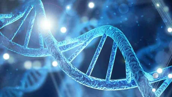 dünya dna günü, 25 nisan dünya dna günü, eksozom, fibroblast, longevity, hücresel yenilenme, sağlıklı yaş alma, biyolojik yaş, cilt yenilenmesi, happ health
