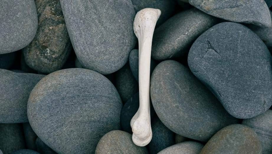 Osteoporoz ve Kemik Sağlığı