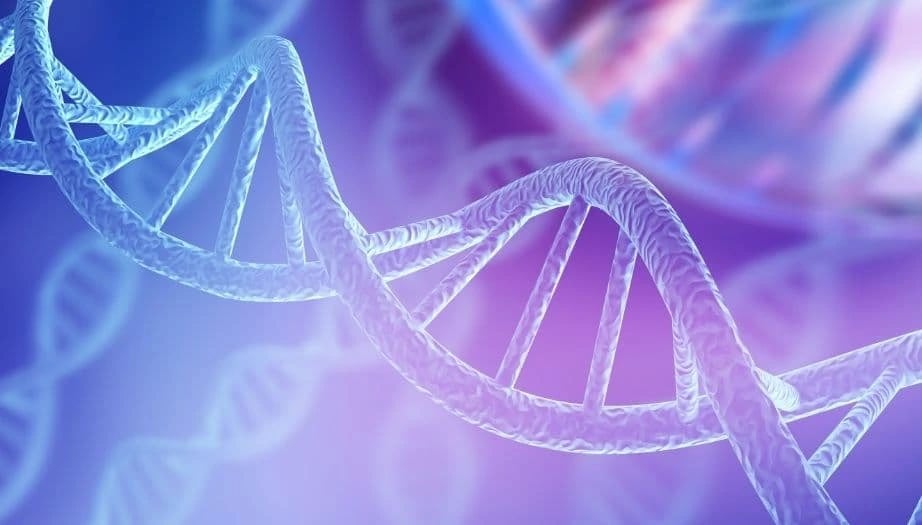 eksozomlar, biyolojik kesecikler, hücre tedavisi, kök hücre tedavisi, anti-aging, saç dökülmesi tedavisi, biyolojik ürünler, hücresel terapi, regeneratif tıp, tedavi yöntemleri