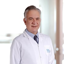 Prof.Dr. Berkan Mersa