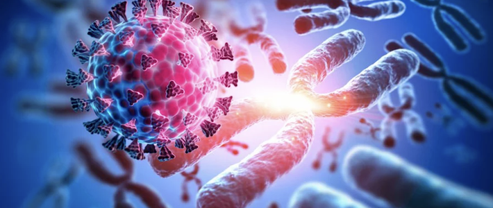 Longevity Eksozom Uygulaması - IV Paketi