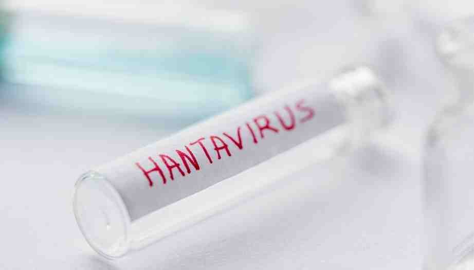 Hantavirüs Nedir? Belirtileri, Bulaş Yolları Ve Tedavisi