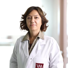 Gülhan Çakır